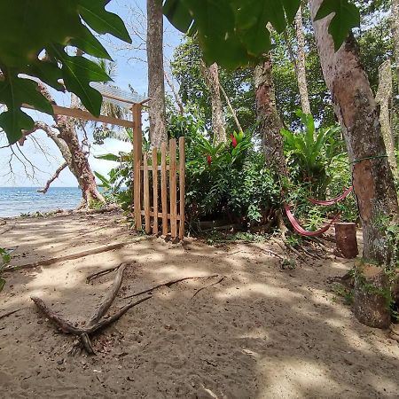 Oasis Vandrehjem Puerto Viejo de Talamanca Eksteriør billede