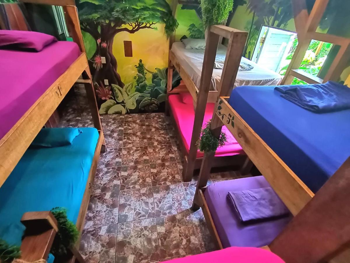 Oasis Vandrehjem Puerto Viejo de Talamanca Eksteriør billede