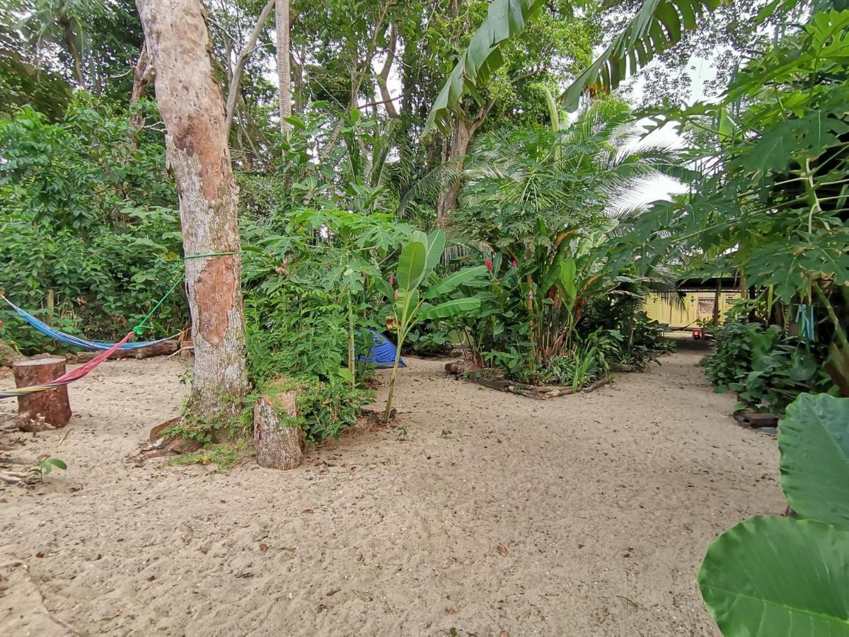 Oasis Vandrehjem Puerto Viejo de Talamanca Eksteriør billede