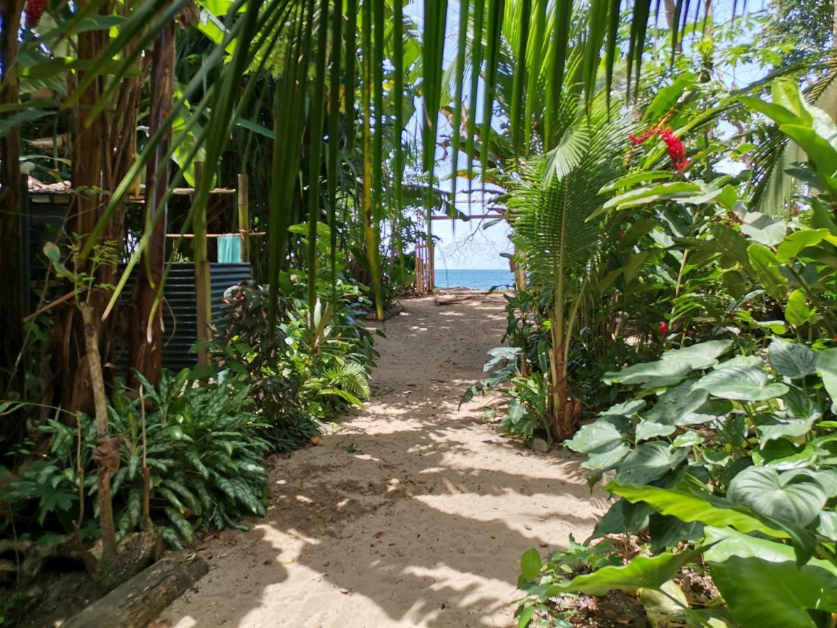 Oasis Vandrehjem Puerto Viejo de Talamanca Eksteriør billede