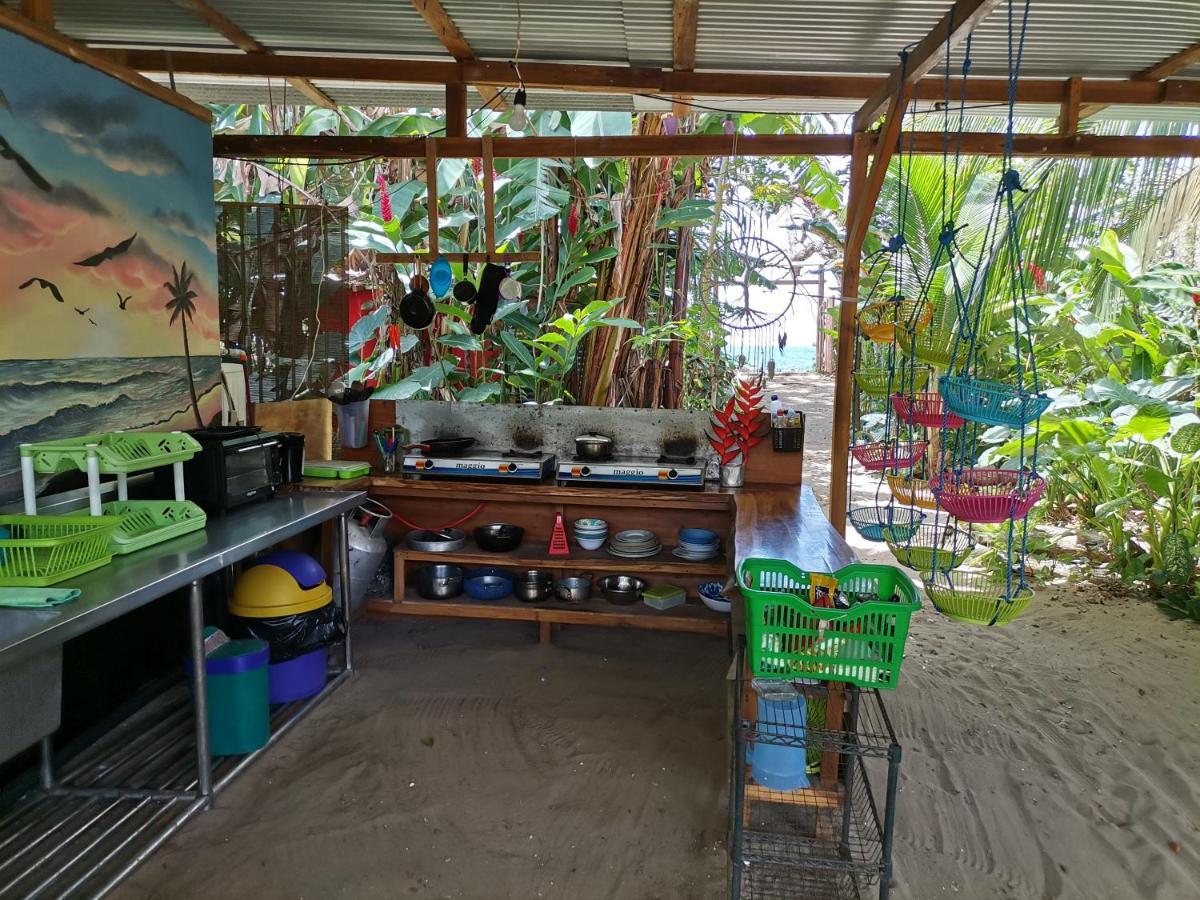 Oasis Vandrehjem Puerto Viejo de Talamanca Eksteriør billede