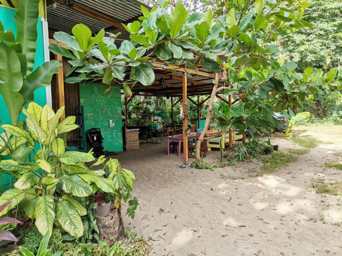 Oasis Vandrehjem Puerto Viejo de Talamanca Eksteriør billede