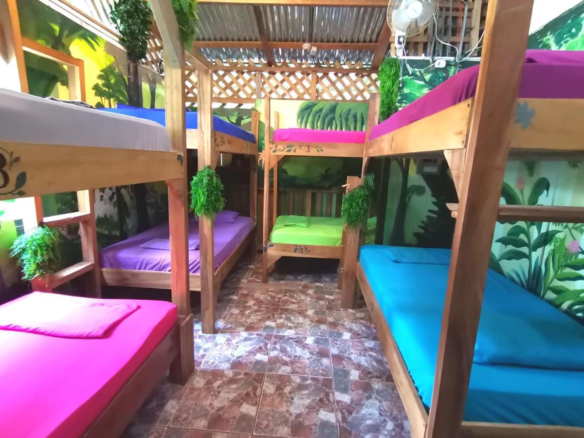 Oasis Vandrehjem Puerto Viejo de Talamanca Eksteriør billede