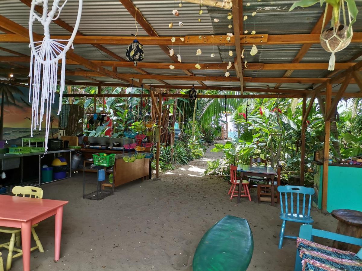 Oasis Vandrehjem Puerto Viejo de Talamanca Eksteriør billede