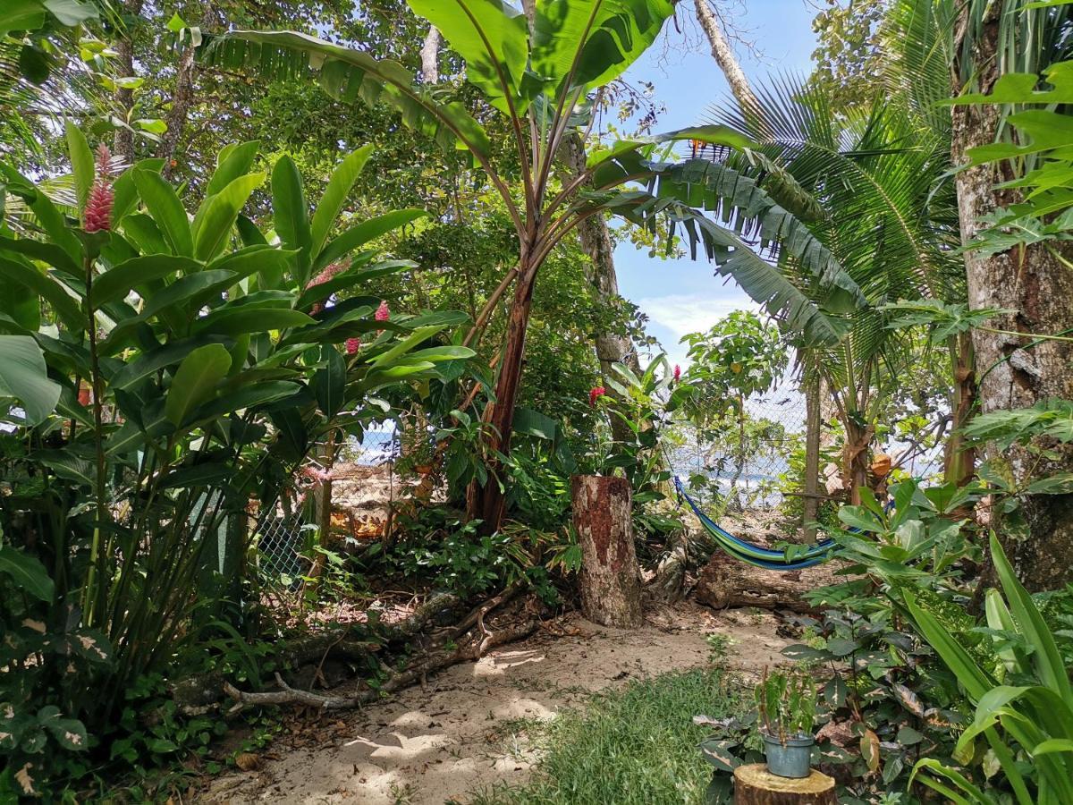 Oasis Vandrehjem Puerto Viejo de Talamanca Eksteriør billede