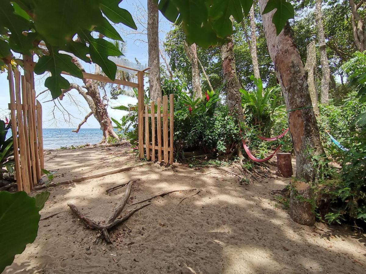 Oasis Vandrehjem Puerto Viejo de Talamanca Eksteriør billede