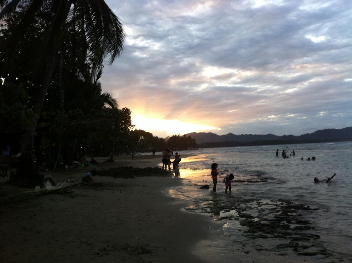 Oasis Vandrehjem Puerto Viejo de Talamanca Eksteriør billede