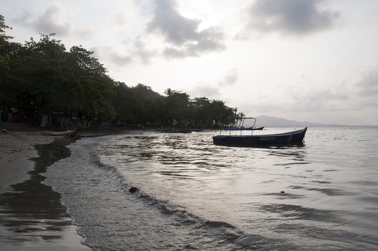 Oasis Vandrehjem Puerto Viejo de Talamanca Eksteriør billede