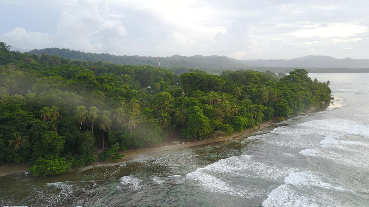 Oasis Vandrehjem Puerto Viejo de Talamanca Eksteriør billede