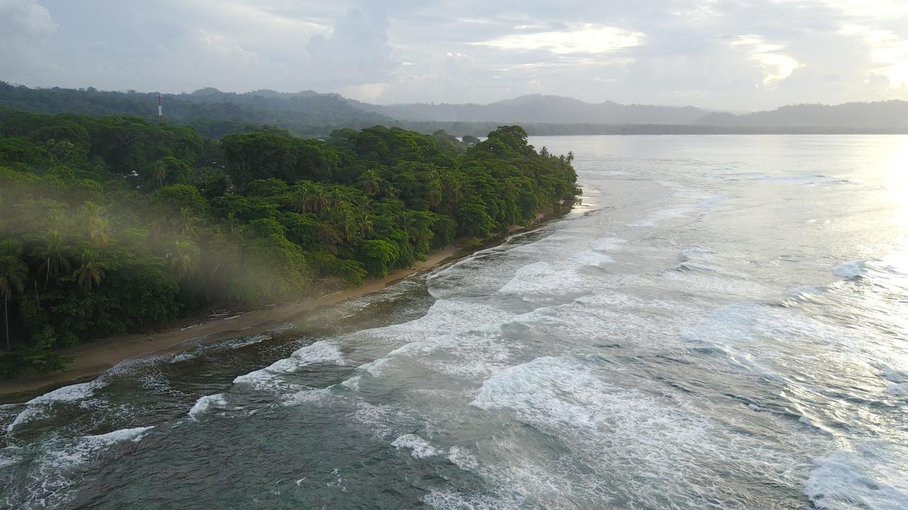 Oasis Vandrehjem Puerto Viejo de Talamanca Eksteriør billede
