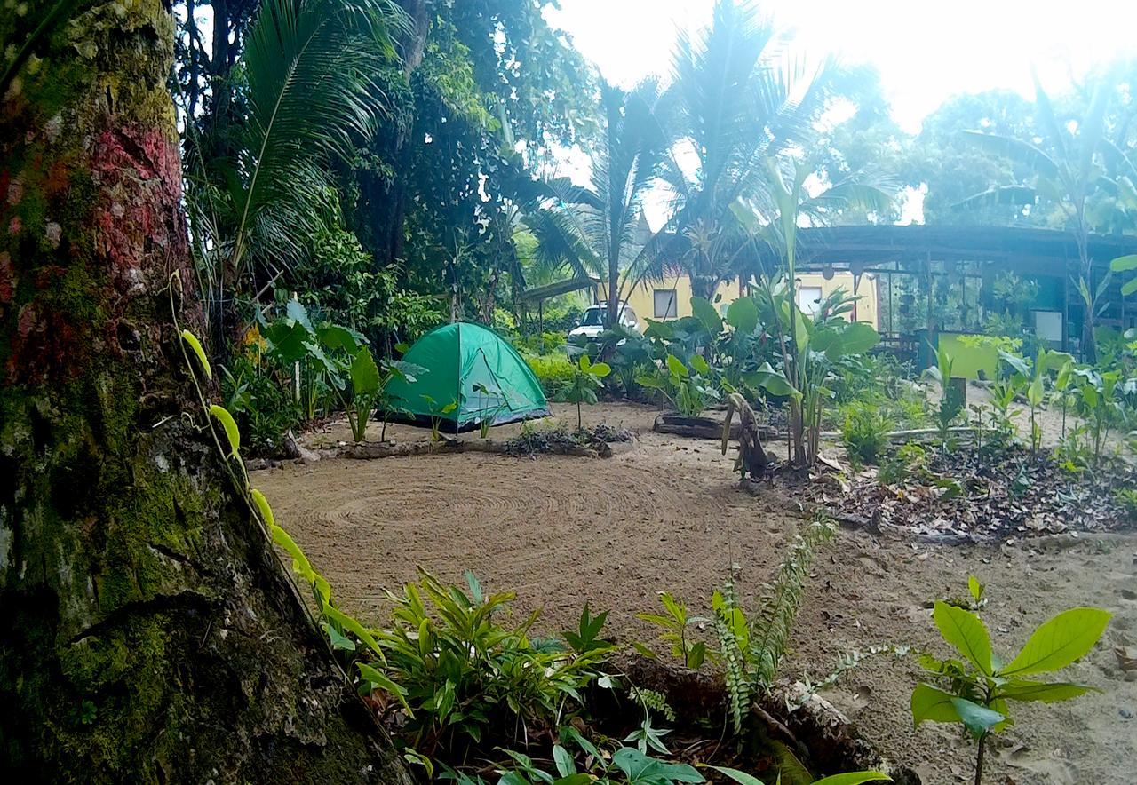 Oasis Vandrehjem Puerto Viejo de Talamanca Eksteriør billede
