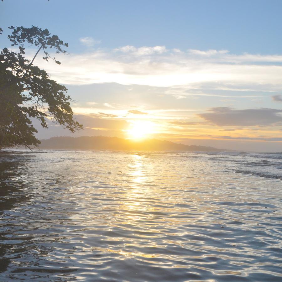 Oasis Vandrehjem Puerto Viejo de Talamanca Eksteriør billede