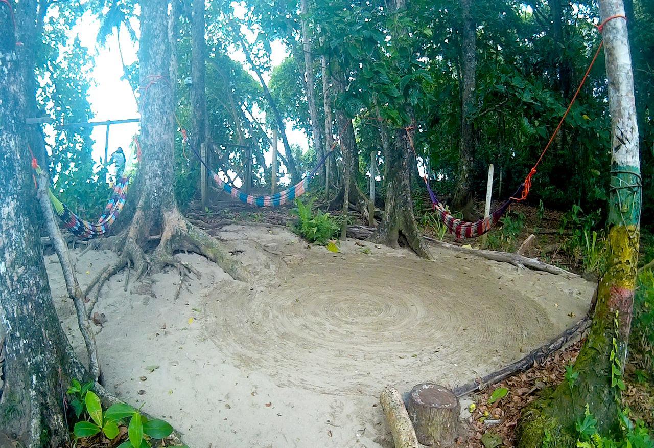 Oasis Vandrehjem Puerto Viejo de Talamanca Eksteriør billede
