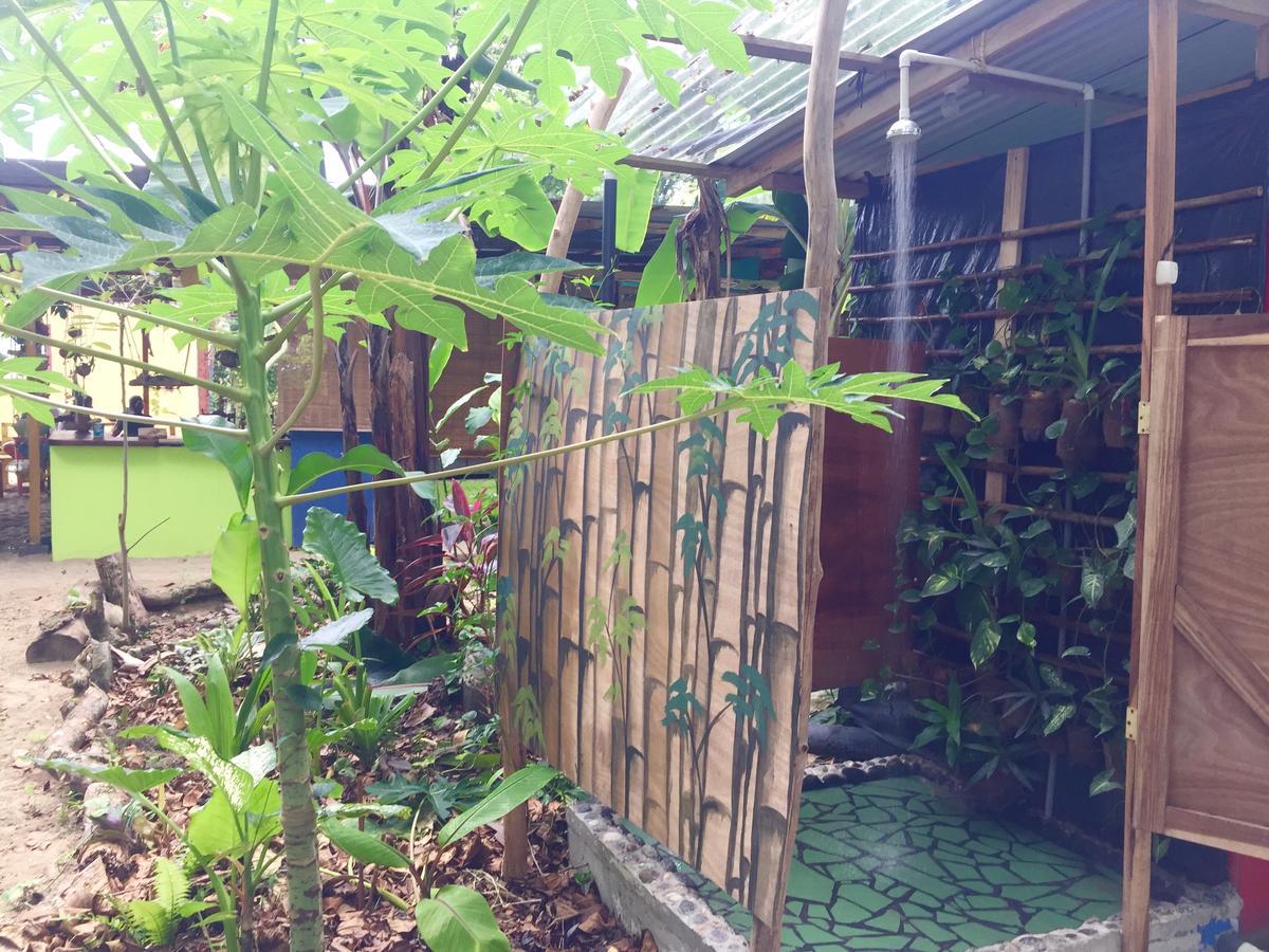 Oasis Vandrehjem Puerto Viejo de Talamanca Eksteriør billede