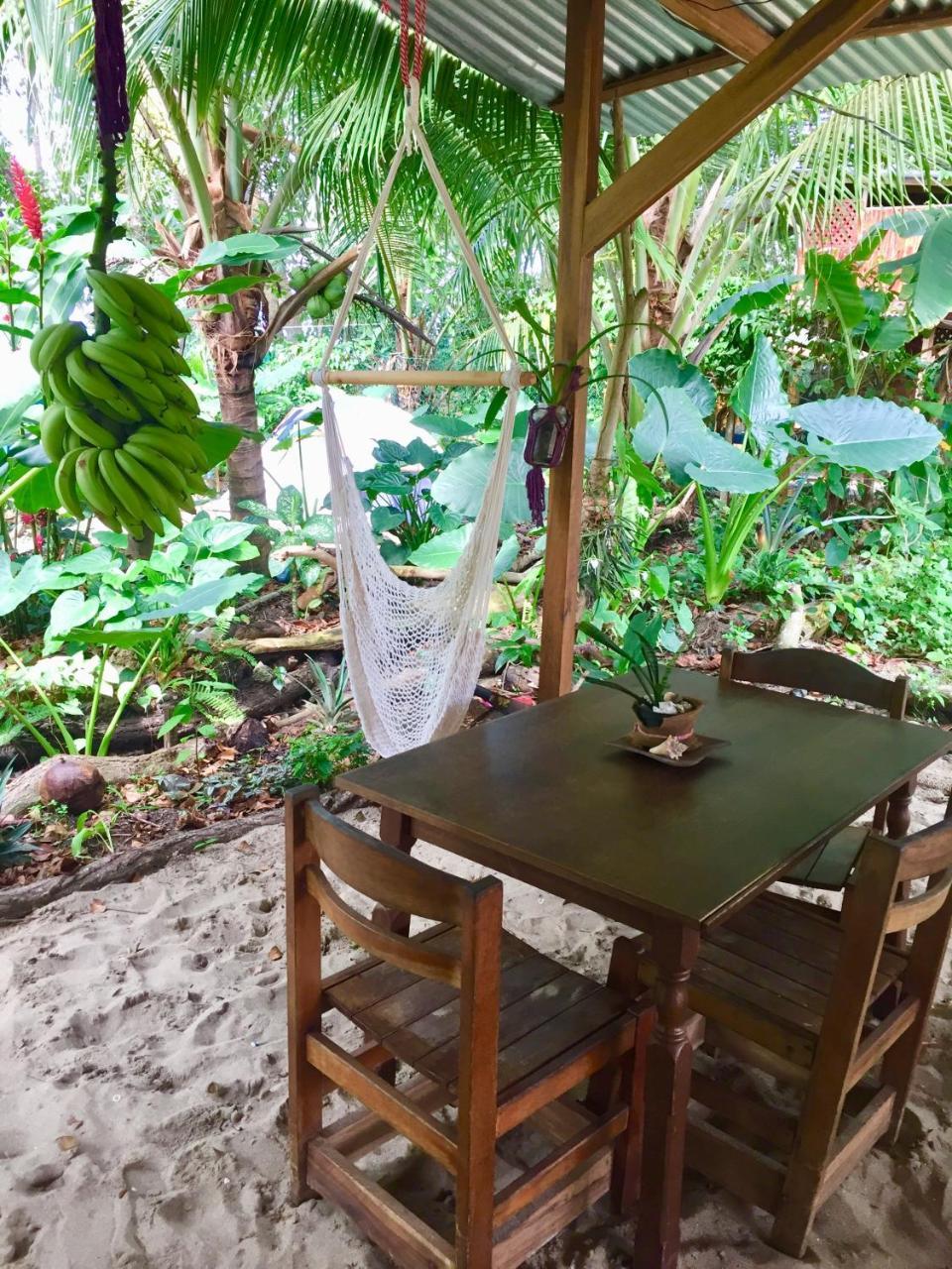Oasis Vandrehjem Puerto Viejo de Talamanca Eksteriør billede
