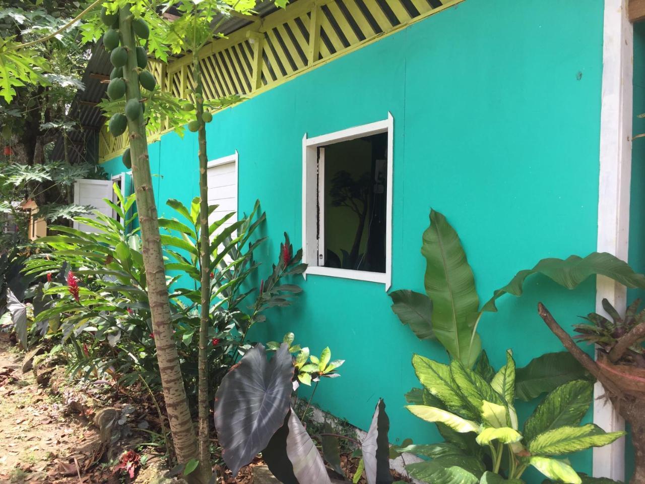 Oasis Vandrehjem Puerto Viejo de Talamanca Eksteriør billede