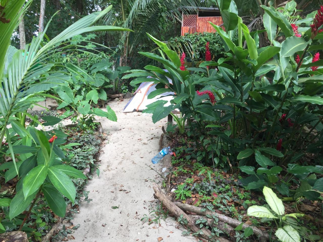 Oasis Vandrehjem Puerto Viejo de Talamanca Eksteriør billede
